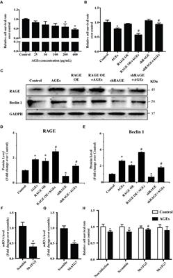 Inhibiting Receptor of Advanced Glycation End Products Attenuates Pressure Overload-Induced Cardiac Dysfunction by Preventing Excessive Autophagy